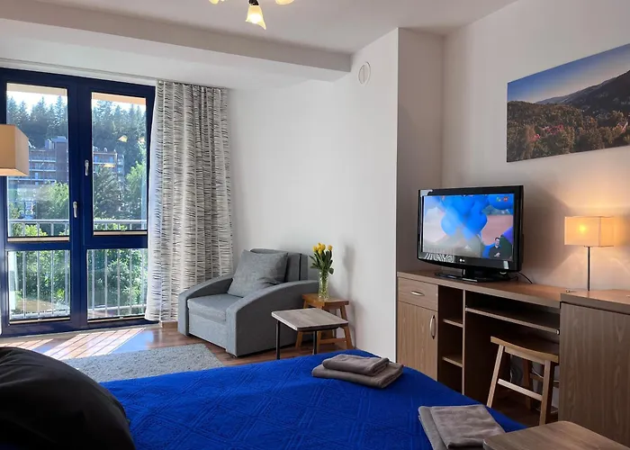 Bb Iii W Centrum Апартаменты Крыница-Здруй